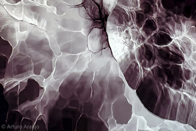 arturo-araujo-bermudez-2025-conexiones-de-gran-calibre_portada